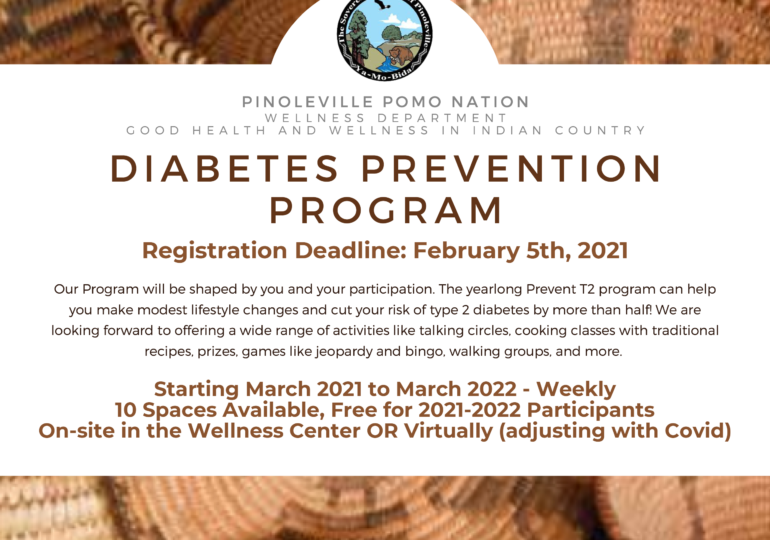 Diabetes Prevention Program